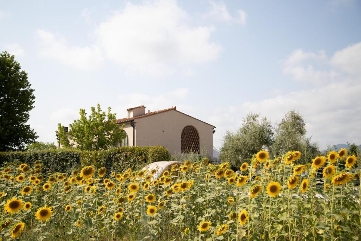 Locanda Sant'Agata ξενώνας San Giuliano Terme Εξωτερικό φωτογραφία