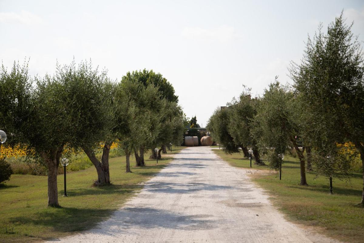 Locanda Sant'Agata ξενώνας San Giuliano Terme Εξωτερικό φωτογραφία